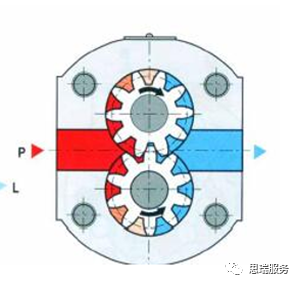 三坐标检测案例 | 齿轮式与摆线式液压马达检测沉点！(图3)