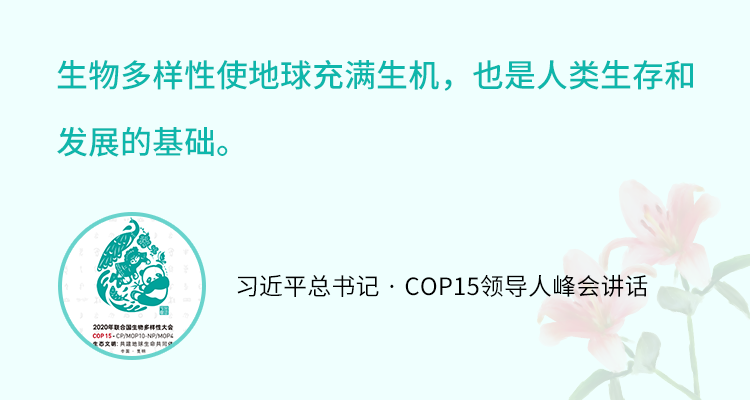 海博论坛·hibet(中国)官方网站